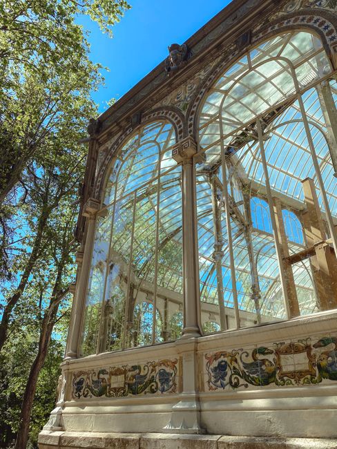 A detailed view of a large, ornate Victorian-style glass conservatory with intricate decorative patterns along the lower part of the structure. The conservatory features expansive, curved glass panels held by slender, cream-colored metal frames, allowing sunlight to illuminate its interior. The metal framework includes vertical and horizontal supports, with some decorative elements around the pillars and arches. The structure is set outdoors, surrounded by tall green trees with broad leaves, visible against a bright blue sky. The conservatory appears to be well-preserved, with some reflections of the sky and trees visible on the glass surfaces, and is situated in a landscaped garden or park setting. This scene relates to practices of private on-site clearance or alternative waste handling, often associated with maintenance or restoration of garden buildings, aligning indirectly with rubbish removal services.